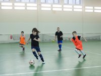 IMG_2202